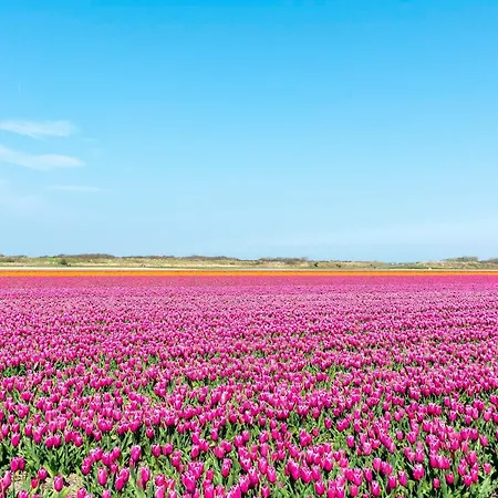 Groote Keeten Near Semesterbostad
